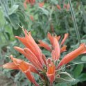 Picasa 2.7